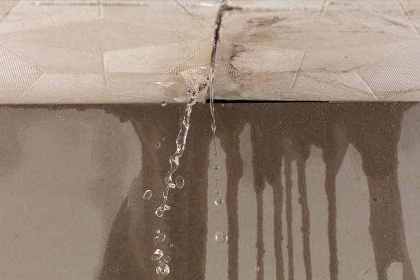 Professional Burst Pipe Cleanup technician working in Crown King, AZ